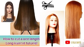 Coupe au carré long tutoriel one length haircut  Corte cuadrado largo tutorial [upl. by Hepsiba]