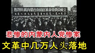 文革纪实  整死整残十多万人的文革内人党惨案 [upl. by Acnaib]