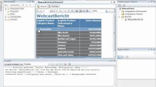 Berichte Erstellen mit SQLServer Reporting Services [upl. by Kotick]