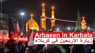 شيعة اجانب يدخلون لاول مرة الى كربلاء المقدسة Arbaeen in Karbala 2013 Imam Hussain الأربعين كربلاء [upl. by Jourdain]