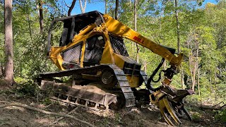 Bell Ultra T Track Feller Buncher cutting and topping hardwood timber [upl. by Nnylak974]