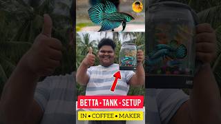 BETTA FISH 🐠 TANK SETUP IN COFFEE MAKER ☕ DIY  jeelanivlogger aquarium tanksetup [upl. by Earla345]