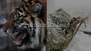 7 Minutes Of TESTOSTERONE [upl. by Iverson]