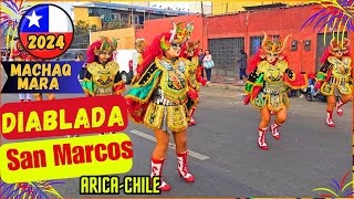 DIABLADA SAN MARCOS ARICA 2024 Machaq Mara Chile [upl. by Phia]