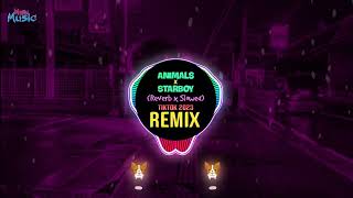 Animals x Starboy Slowed To Perfection DJ抖音版 Tiktok Remix 2023  Hot Tiktok Douyin [upl. by Ennobe]