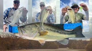 Fishing Report  Early November 2024  Eastern Kansas [upl. by Maltzman]