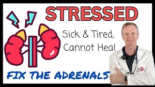 ADRENAL TREATMENT TO HELP THE BODY HEAL FASTER 144  httpsdrstephenstokescom [upl. by Suivatram199]