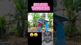 BIGSIZETUNAFISH🤤🤤  Delicious fish recipe  food fishrecipe indianfood cooking shorts [upl. by Lawan]