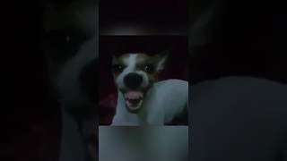 Skinwalker Disguised As Animals ☢️ PRT93 viral ytshorts [upl. by Cob]