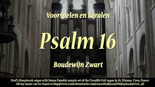 Psalm 16 Boudewijn Zwart [upl. by Nedyaj745]