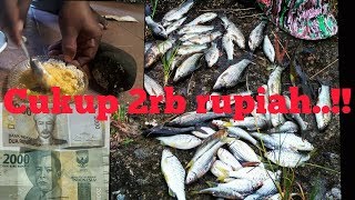 CUMA 2RIBU BISA BIKIN UMPAN JITU MANCING DI SUNGAI DIJAMIN AMPUH [upl. by Golanka]