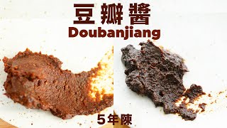 陳釀 5 年豆瓣醬有多香🫘久等了終於開封了 The 5year aged Doubanjiang is so fragrant [upl. by Tallula591]