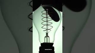 Filament Bulb science sciencefacts [upl. by Eseuqram908]