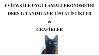 EVIEWS ile UYGULAMALI EKONOMETRİ Tanımlayıcı İstatistikler amp Grafikler [upl. by Alinna]