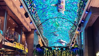 MSC Euribia Changing LED Domed atrium nighltly shows daily images from Oktoberfest to Christmas [upl. by Worra]