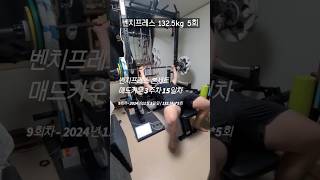 벤치프레스 본세트 20241103 일  1325kg5회  매드카우9 3주차 15일차 [upl. by Haeluj]