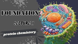 Protein Lecture 4 classification of proteins Biochemistry Dr Adham saleh [upl. by Nitsirt]