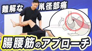 【実技で解説！】quot臨床で多い”腸腰筋の痛みの評価とアプローチ！ [upl. by Nomde]