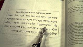 Trope Trop Cantillations Marks for Torah Readings Ashkenaz טעמי המקרא הגייתם וניגונם נוסח אשכנז [upl. by Ivgnout]