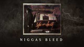 The Notorious BIG  Niggas Bleed Official Audio [upl. by Tyrus316]