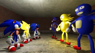 ALL 3D SANIC CLONES vs NEW 3D MEMES SANIC CLONES in Garrys Mod [upl. by Llereg]