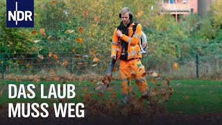 Hochbetrieb im goldenen Herbst  Die Nordreportage  NDR Doku [upl. by Burn]