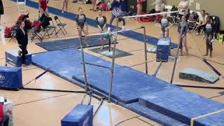 2019 MO Level 10 State Meet Bars [upl. by Borgeson]