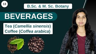 Economic Botany  BEVERAGES  Tea  Coffee  B Sc amp M Sc [upl. by Ibok]