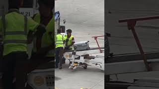 The Singapore workers are placing the suitcases in the airplane ✈️ exploresingaporechangiairport [upl. by Enelyar99]