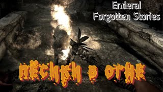 Enderal Forgotten Stories Путешествие на материк и первое поселение [upl. by Leandra774]