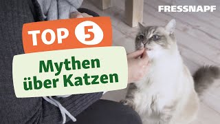 Top 5 Mythen über Katzen [upl. by Elvyn693]