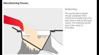 The Soy Process  Vitasoy Soymilk production [upl. by Mharg]