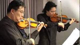 Duo for 2 violins No5Allegro maestosoW A Mozart [upl. by Drawde363]