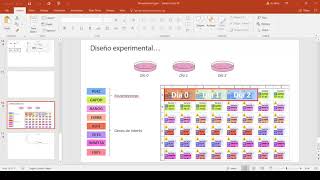 Análisis de datos de RTqPCR Video 14  Exportacion y calculos con LinReg PCR [upl. by Hoj]