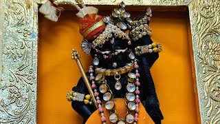 Kunj ko nazar na lagepriyankapanditofficial6820 radheradhe harekrishna laddugopal radhe [upl. by Zimmerman]