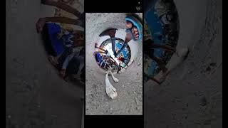 Funny Video comedy viral comedy insta360camera funny [upl. by Hsak]