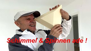 Schimmel in den Ecken unter der Decke vermeiden und Spinnen vertreiben [upl. by Agneta775]