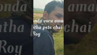 onek bedona vora amr ai jibon ami ar batha pete chai na Anupam Roytrending bangla army [upl. by Aslehc508]