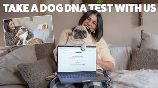 Take a wisdom panel DNA test with us [upl. by Kore548]