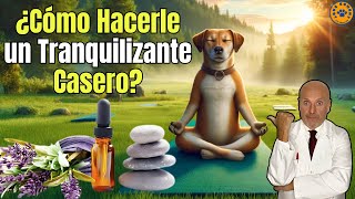 ☮️ ¿COMO HACER UN TRANQUILIZANTE CASERO PARA PERROS ☮️ [upl. by Hennebery503]