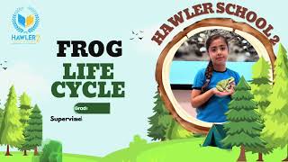 Frog Life Cycle 🐸 Grade Three 💚 [upl. by Geminian]