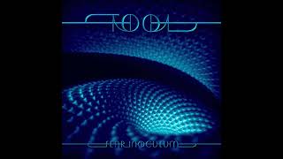 Tool  Fear Inoculum Instrumental [upl. by Cristine58]