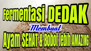 WAJIB TAU Cara Fermentasi Dedak Untuk Pakan Ayam [upl. by Parent]