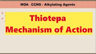 Thiotepa Mechanism of action [upl. by Rickert244]