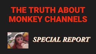 SPECIAL REPORT  The truth about monkey channels  PART 1 [upl. by Shermie]