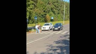 Kind Strangers Help Elderly Woman Cross a Busy Street [upl. by Gayel121]