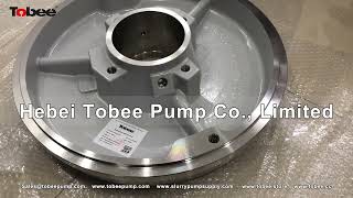 Tobee® APP Series Centrifugal Process Endsuction Pump Spares [upl. by Novad698]