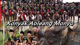 Konyak Aoleang Festival 2024Aphakkonyak9202 [upl. by Lilac146]