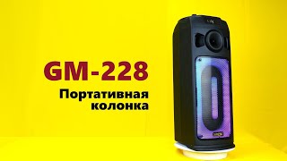 Обзор Портативной Midiсистемы Ginzzu GM228 [upl. by Akineg251]