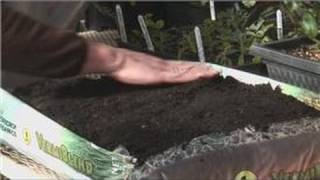 Planting From Seeds  How to Grow Seeds in Plastic Bags [upl. by Oberg]